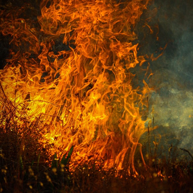 A wildfire 